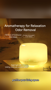 500ML 4-in-1 Ultrasonic Aroma Diffuser & Air Humidifier with 7-Color LED Mood Light | Local SG 3-Pin Plug