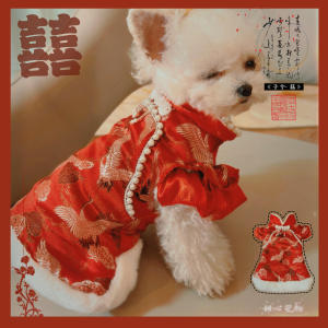Red Wedding Dress Cat Doll Cotton Jacket Maltese New Year Tang Suit Cat Marriage Ceremony Clothes Winter Red Cotton Coat