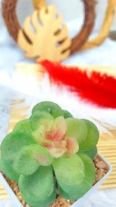 Bulu kemucing dekorasi hair fashion hair piece Per-1 Pcs murah Ostrich