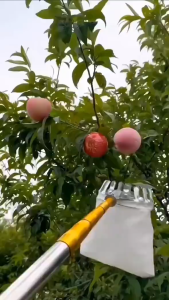 Dụng Cụ Hái Trái Cây Inox Rút Dài 6M – Bộ Sào Vợt + 4 Phụ Kiện Hàng Xịn Loại 1