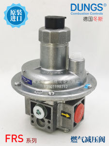 Dungs Đức Van Giảm Áp Khí Frs503 505 510 515 520 Van Ổn Định Có Thể Điều Chỉnh Kết Nối Ren Thân Nhôm Đúc