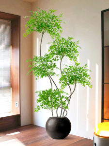 Luxurious Realistic Nandina Simulation Large Plant