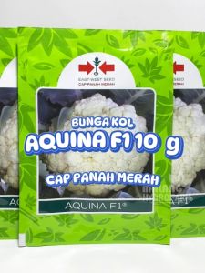 Benih Bunga Kol Aquina F1 10 gram biji bibit sayur kembang hijau putih hidroponik panah merah