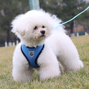 Bộ dây dắt Chó Mèo kèm yếm bằng vải lưới thoáng mát - Love Pets Shop