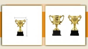 3Pack Children Award Trophy Exquisite Plating Trophy School Competition Or Celebration Award Supplie