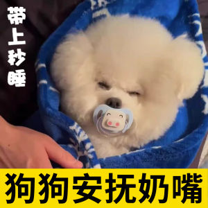 Dog Special Pacifier Pet Toy Doggy Molar Relieving Stuffy Puppy Bichon Bionic Nipple Newborn Sleep