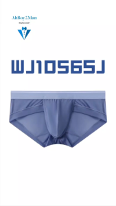 Mens Brief : Woven Polyester Quick Dry Brief (Wanjiang WJ1056SJ)