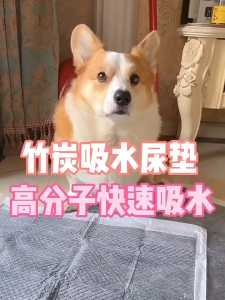 AP AIMAYAPET Dog Training Pad Pet Pee Pad Dog Potty Pads Bamboo Charcoal Dog Puppy Training Mat Pet Diaper