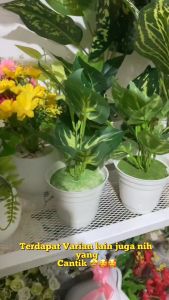 Daun Keladi Artifisial & Bunga Plastik Hias: Dekorasi Rumah Murah