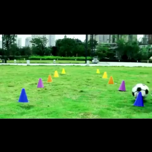 Spot wholesale 12Pcs/6Pcs Basketball Cones 18cm Sport Cones Ball Control Training CFootball Soccer Sport Cone
