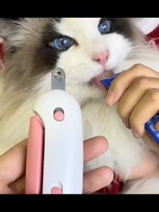 Professional Nail Cutter for Animals: Pet Nail Clipper for Cats & Dogs