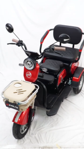 Evolite Family 3.0 Sepeda Listrik Roda 3 dengan Mesin Mid Drive Motor 800W dan Battery Kering 48V 20Ah