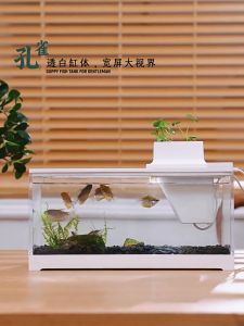 ตู้ปลาเล็ก พร้อมตัวปั้ม และ LED สำหรับเลี้ยงปลากัด ขนาด 30*13*19.3cm