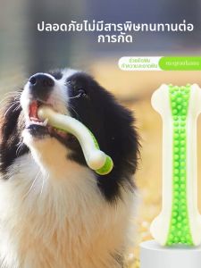 EETOYS | Durable Chew Toy for Large Dogs and Puppies