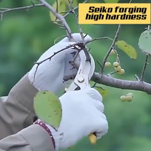 ALLSHOP Garden Pruning Shears: A Comprehensive Guide