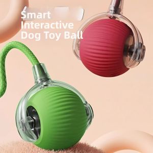 LUTUMEI | Automatic Durable Self Play Dog Toy
