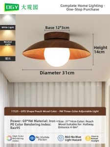 DGY | Retro Vintage Simplicity Ceiling Light