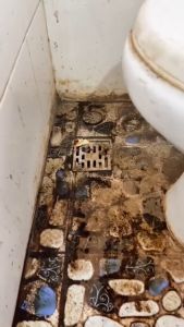 Tẩy Cặn CANXI - Nước Tẩy Đa Năng Vệ Sinh Sàn Nhà SAIZA 1000ml Làm Sạch Bề Mặt Sàn Đá Hoa Vết Ố Vàng Nhà Tắm - Tặng Khăn Lau