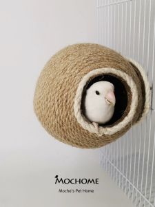 Moka Coconut Shell & Tiger Maple Parrot Nest Coconuts: Essential Pet Supplies