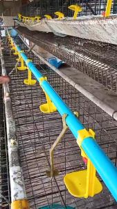 นิปเปิ้ลให้น้ำไก่ นิปเปิ้ลให้น้ำอัตโนมัติ ไก่ชน ไก่ไข่ นกกระทา หัว 360องศา สีเหลือง 4 หุน