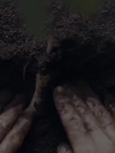 Anti-Acne Body Wash Ginseng Shower Gel Whitening Moisturizing Nourishing Eczema Itching Ringworm Antibacterial Mites Remove