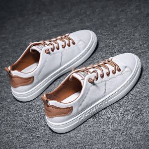 Sepatu Canvas Murah & Import FREDO: Desain Urban Untuk Aktivitas Sehari-hari