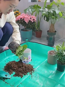 เสื่อพื้นสวนบ้าน แผ่นเปลี่ยนดิน ปลูกผักและดอกไม้ หมุนดิน เปลี่ยนกระถาง เสื่อปฏิบัติการ