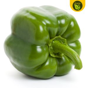 100 seeds for planting binhi sweet bell pepper fruit
