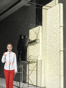 BEIQIVI | Light-transmitting Frosted Acrylic Panel Backdrop Soft Membrane