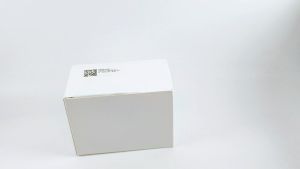Adaptor 12v 3a Adapter DC Switching 12 Volt 3 Ampere Taffware