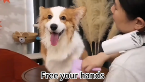 Lazy-Man Neck Hanging Pet Dryer. Mini Handheld & Clip-on Blower + Negative Ion for Healthy Fur. Support Hot & Cool Wind