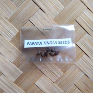 Papaya Pang-Tinola 7 Seeds Per Pack