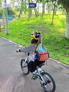 Kinderkraft | Kids Variable Speed Bicycle 20 inch