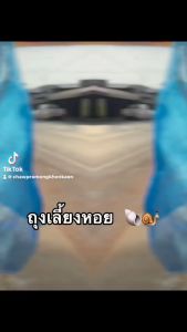 ถุงใส่ปลา ถุงใส่กบ ถุงมูงใส่ปลา ถุงใส่หอย ถุงมูงเขียว เลี้ยงหอย ถุงมูงฟ้า หอยขม หอยจูบ ถุงมูง ถุงกระเทียว ถูกแบบปลา ตาข่าย