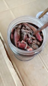 Mắm Mực Phú Yên loại đặc biệt nhiều mực thơm ngon - Đặc sản Xứ Nẫu( 1kg 500gr)-  ĐẠI NGƯ