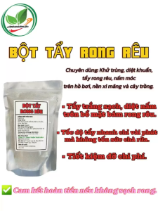Bột tẩy rong rêu của Nhật Khử Trùng Diệt Khuẩntrên hồ bơiTẩy Sạch Sau 5 PHÚT. GÓI 500GR