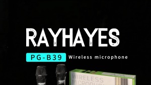 RAYHAYES Professional Wireless Microphone UHF Handheld Rechargeable Dynamic Microphone for Karaoke