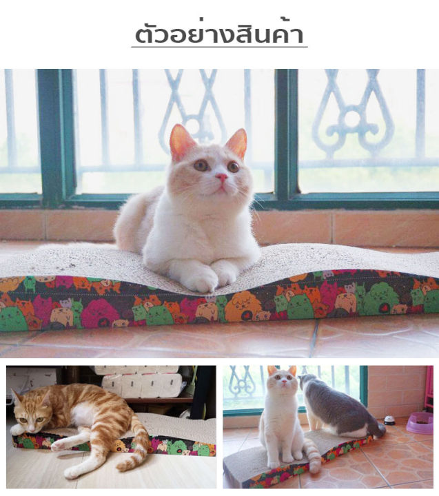 💗🐾ᑭᑌᑭᑭY ᑭᗩᒪᗩᑕE🐾💗- ที่ลับเล็บแมว ที่ฝนเล็บแมว แผ่นลับเล็บแมว มีหลายแบบ ...