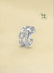 HEFANG Jewelry | Gift Double Layer Chain Earrings