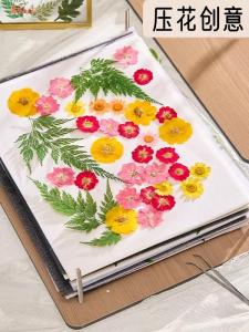 Máy Ép Hoa Khô DIY Làm Mẫu Thực Vật Tự Nhiên Máy Ép Hoa Khô Phụ Kiện Làm Ảnh Khung Ảnh Máy Ép Hoa Khô