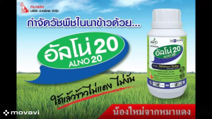 อัลโน่20 ยกลัง ขนาด 100 กรัมx 10 ขวด บิสไพริแบก-โซเดียม หมาแดงผง ใช้กําจัดวัชพืชใบแคบ หลังข้าวงอก