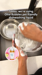 Ollie Bubbles - Dishwashing Liquid - 500ML