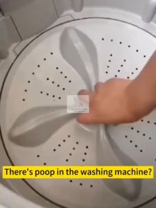 Seaways Front Top Load Washing Machine Antibacterial Cleanering Deodorizes Powder HighEfficiency EcoFriendly Powerful Laundry Stain Remover 99.9% Sterilization Washing Machine Tank Sink Drum Descaler Cleaner Pencuci Pembersih Mesin Basuh Automatik清洗洗衣机清洁剂