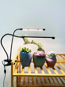 LED Full Spectrum Plant Growth Supplement Light Timing Function USB Clip Metal Hose Succulent Bonsai Greenery