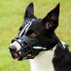 1Pc Adjustable Dog Muzzle Anti-Biting Dog Mouth Cover With Reflective Strip Can Drink Water Breathable Plastic Pet Muzzle
