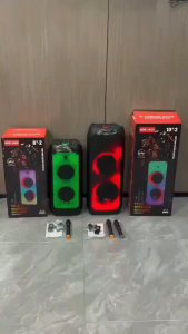 Wireless Portable Speaker 8+10 Inch Dual Horn Bass Speaker with Wireless Microphone for Outdoor Events & Karaoke