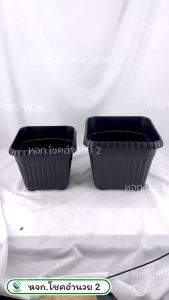 (ยกโหล/ 12 ใบ) กระถางต้นไม้ เหลี่ยม 1012 นิ้ว เจาะรู กระถาง กระถางพลาสติก