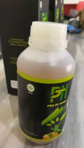 Obat sinusitis paling ampuh Obat Sinusitis pilek menahun Obat sinusitis polip hidung obat sinusitis hidung bau Infeksi Saluran Pernafasan Sinusitis Kronis Polip Hidung tersumbat radang sinus Sinusitis Hidung Akut Parah Hidung Bau Hidung Mampet