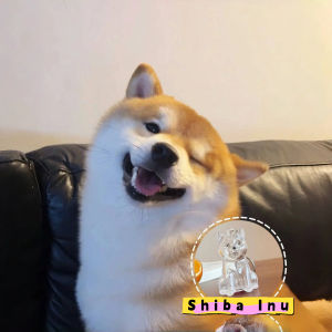 Dog Hair Storage Cute Pendant Keychain Bag Pendant Couple Car Key Chains Jewelry Souvenir Collection Gift Decoration Accessories