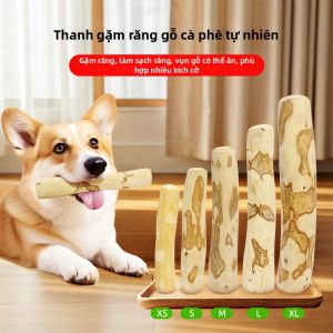 SUNEAST | Đồ Chơi Giảm Hành Vi Cắn Làm Sạch Răng và Hôi Miệng